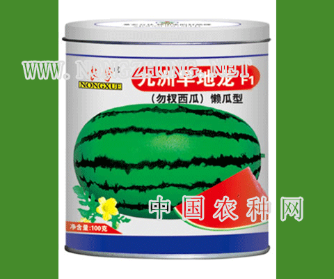 九州早地龙西瓜种子
